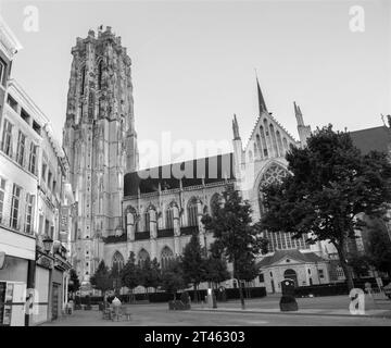 MECHELEN, Belgien - 4 SEPTEMBER: St. Rumbold Kathedrale in Dämmerung am 4. September 2013 in Mechelen, Belgien. Stockfoto