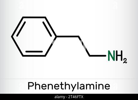 Phenethylamin, PEA-Molekül. Es ist Monoaminalkaloid, das beim Menschen das zentrale Nervensystem stimuliert. Die chemische Formel des Skeletts. Vektorabbildung Stock Vektor