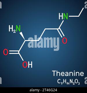 Theanin, Theaninmolekül. Es ist ein neuroprotektiver Wirkstoff, pflanzlicher Metabolit, der in grünem Tee gefunden wird. Strukturelle chemische Formel am dunkelblauen Hintergras Stock Vektor