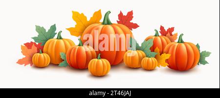 Thanksgiving oder Halloween Kürbisse Hintergrund - Vektorillustration isoliert auf weißem Hintergrund Stock Vektor