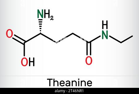 Theanin, Theaninmolekül. Es ist ein neuroprotektiver Wirkstoff, pflanzlicher Metabolit, der in grünem Tee gefunden wird. Die chemische Formel des Skeletts. Vektorabbildung Stock Vektor