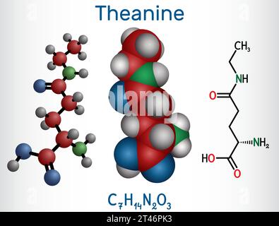 Theanin, Theaninmolekül. Es ist ein neuroprotektiver Wirkstoff, pflanzlicher Metabolit, der in grünem Tee gefunden wird. Strukturelle chemische Formel, Molekülmodell. Stock Vektor