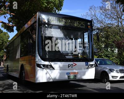 Vorderansicht eines von der CDC Melbourne betriebenen Scania-Busses mit aktueller PTV-Lackierung, während er eine enge Straße in den grünen Vororten entlang fährt Stockfoto