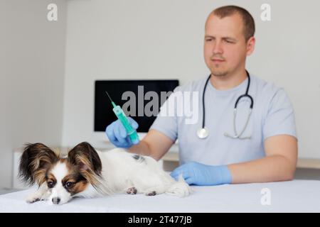 Junger Tierarzt mit Spritze in der Hand und kranker Hund in der Arztpraxis Stockfoto