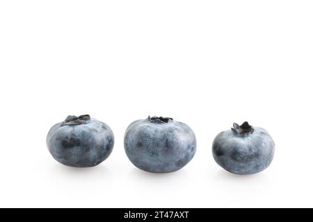 Drei große Blaubeeren isoliert auf weißem Hintergrund, Seitenansicht Stockfoto