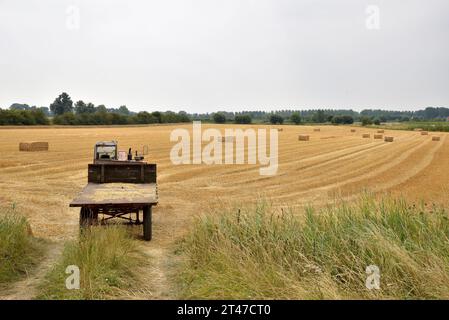 Ordentliche Strohballen sind auf dem Flachwagen, der im Vordergrund sichtbar ist, für den Transport bereit; Zeeland Flanders, Neuseeland Stockfoto