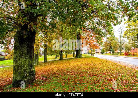 Dundee, Tayside, Schottland, Großbritannien. Oktober 2023. Wetter in Großbritannien: An einem nassen Herbstmorgen in Dundee's Ardler Village, Schottland, sind die Uhren um eine Stunde zurückgestellt. Der anhaltende Regen im Nordosten Schottlands wird voraussichtlich noch eine Woche andauern und eine wunderschöne Herbstumgebung erzeugen. Quelle: Dundee Photographics/Alamy Live News Stockfoto