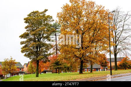 Dundee, Tayside, Schottland, Großbritannien. Oktober 2023. Wetter in Großbritannien: An einem nassen Herbstmorgen in Dundee's Ardler Village, Schottland, sind die Uhren um eine Stunde zurückgestellt. Der anhaltende Regen im Nordosten Schottlands wird voraussichtlich noch eine Woche andauern und eine wunderschöne Herbstumgebung erzeugen. Quelle: Dundee Photographics/Alamy Live News Stockfoto