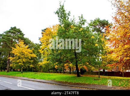 Dundee, Tayside, Schottland, Großbritannien. Oktober 2023. Wetter in Großbritannien: An einem nassen Herbstmorgen in Dundee's Ardler Village, Schottland, sind die Uhren um eine Stunde zurückgestellt. Der anhaltende Regen im Nordosten Schottlands wird voraussichtlich noch eine Woche andauern und eine wunderschöne Herbstumgebung erzeugen. Quelle: Dundee Photographics/Alamy Live News Stockfoto