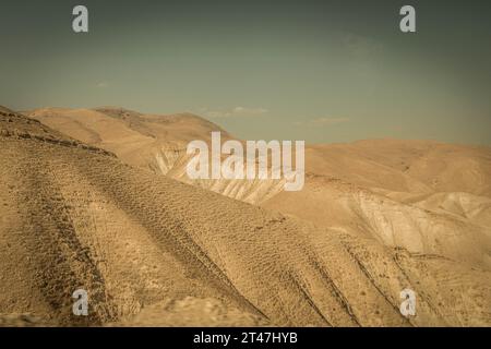 Die trockene Sandwüste Negev mitten im Westjordanland, palästinensische Autonomie (Palästina) im Westjordanland. Stockfoto