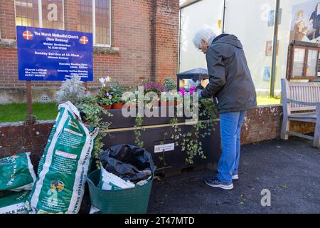 Mitglied der neuen Gruppe romney in Bloom, die Pflanzpflanzen auf der New Romney High Street, New romney, kent, großbritannien Stockfoto