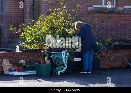 Mitglied der neuen Gruppe romney in Bloom, die Pflanzpflanzen auf der New Romney High Street, New romney, kent, großbritannien Stockfoto