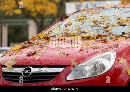 Buntes Herbstlaub liegt auf einem Auto in der Siegener Leimbachstraße. Herbststimmung im Siegerland am 29.10.2023 in Siegen/Deutschland. *** Bunte Herbstblätter liegen auf einem Auto in der Siegen Leimbachstraße Herbstatmosphäre im Siegerland am 29 10 2023 in Siegen Deutschland Credit: Imago/Alamy Live News Stockfoto