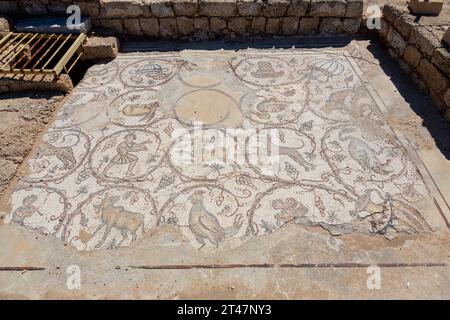 CAESAREA, ISRAEL - 2. APRIL 2016: Gut erhaltene Überreste alter byzantinischer Mosaike im Caesarea Maritima Nationalpark, Israel Stockfoto