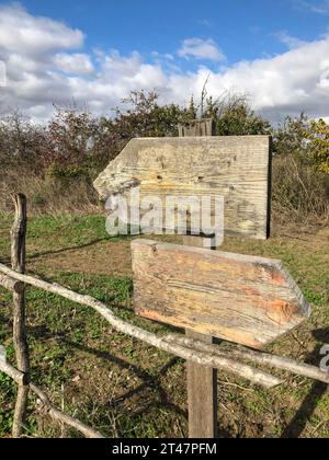 Hölzerne Richtungsschilder mit Kopierraum im Garten an einem sonnigen Tag Stockfoto