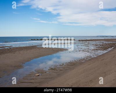 Tarvel-Szenen auf Capr Cod Stockfoto