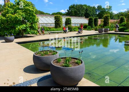Der Lily Pond im Paradise Garden Area des Weston Walls Garden bei den RHS Bridgewater Gardens, Worsley, Salford, Greater Manchester, Großbritannien Stockfoto