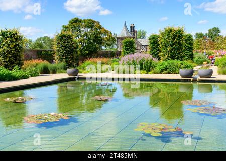 Der Lily Pond im Paradise Garden Area des Weston Walls Garden bei den RHS Bridgewater Gardens, Worsley, Salford, Greater Manchester, Großbritannien Stockfoto