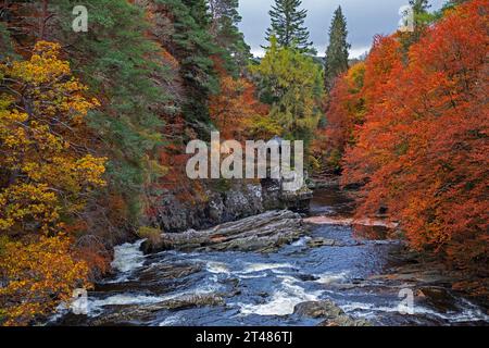 Invermoriston, Highlands, Schottland, Großbritannien. Oktober 2023. Trocken, bewölkt und kühl bei 8 Grad Celsius mit beißendem Wind E 19 km/h mit möglichen Böen von 30 km/h. Im Bild: Das Sommerhaus am Ufer des Flusses Moriston im Zentrum, umgeben von herbstlichem Laub. Quelle: Archwhite/Alamy Live News. Stockfoto