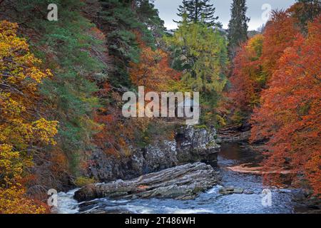 Invermoriston, Highlands, Schottland, Großbritannien. Oktober 2023. Trocken, bewölkt und kühl bei 8 Grad Celsius mit beißendem Wind E 19 km/h mit möglichen Böen von 30 km/h. Im Bild: Das Sommerhaus am Ufer des Flusses Moriston im Zentrum, umgeben von herbstlichem Laub. Quelle: Archwhite/Alamy Live News. Stockfoto