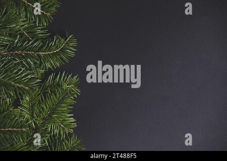 Weihnachten Grenze mit frischen Tannenzweigen auf schwarzem Papier Hintergrund angeordnet, kopieren Platz für Text Stockfoto