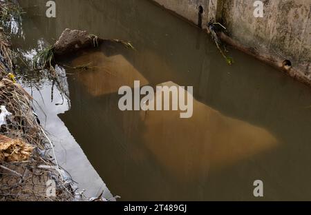 San Juan, USA. Oktober 2023. Zerstörte Überreste einer Betondecke in der Schlucht, die durch das Stadtviertel Reparto Metropolitano in San Juan, Puerto Rico verläuft, 28. Oktober 2023. (Foto: Carlos Berríos Polanco/SIPA USA) Credit: SIPA USA/Alamy Live News Stockfoto