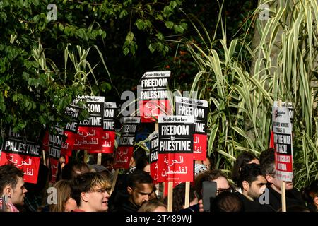 Demonstranten zu Beginn eines Pro-Palästina-marsches, der zu einem Waffenstillstand der laufenden Militäroffensive des Gazastreifens durch israelische Verteidigungskräfte aufruft. Der marsch Stockfoto