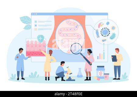 Darmmikrobiom-Forschungsvektorillustration. Karikatur winzige Menschen mit Vergrößerungsglas überprüfen die Gesundheit des Verdauungstraktes und der Darmbarriere auf Mikrobiota auf Infografik der Darmstruktur Stock Vektor