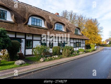 Charmantes Fachwerkhaus mit Strohdach liegt ruhig an einer ruhigen Straße, umgeben von Herbstlaub und gepflegten Gärten in einem malerischen Teufel Stockfoto