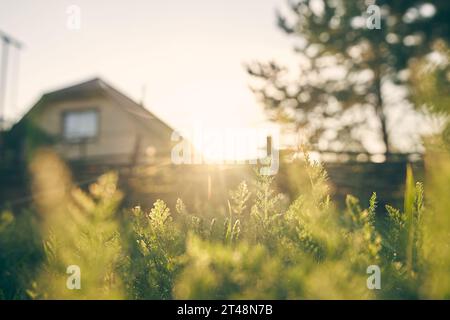 Selektiver Fokus auf ein Ferienhaus mit einem Sommergarten hinter einem Zaun. Das Haus ist in den Strahlen der untergehenden Sonne. Das Konzept des Vorstadtlebens mit Raum zum Kopieren. Hochwertige Fotos Stockfoto