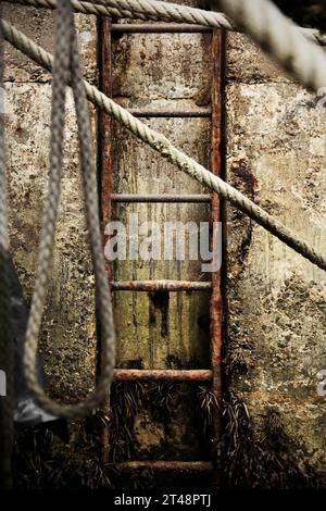 Alte Rostleiter in Betonmauern. Stockfoto