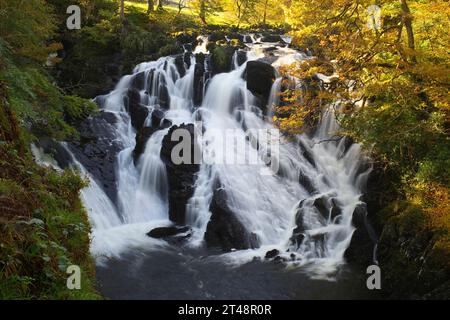 Slulow Falls, Betws y Coed, Gwynedd, Nordwales. Stockfoto