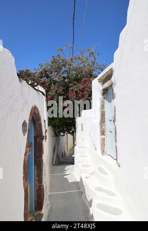 Romantische Allee mit Bougainvillea im kleinen Dorf Emporio auf Santorini - Griechenland Stockfoto