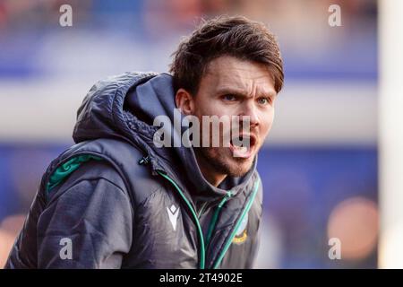 Sheffield, Großbritannien. Oktober 2023. Sheffield Wednesday Manager Danny Rohl beim Sheffield Wednesday FC gegen Rotherham United FC SKY Bet EFL Championship Match im Hillsborough Stadium, Sheffield, Großbritannien am 29. Oktober 2023 Credit: Every Second Media/Alamy Live News Stockfoto