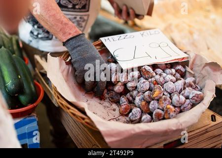 Nahaufnahme einer Hand eines Händlers, die geröstete Kastanien (Caldarroste) aus einem Korb auf einem Markt im Freien auswählt, mit frischer Zucchinis in der Nähe und einem han Stockfoto