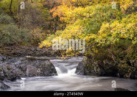 Die mächtigen Wasserfälle von Leny, die im Queen Elizabeth Forest Park in Loch Lomond und im Trossachs National Park in den Scottish Highlands zu finden sind. Stockfoto