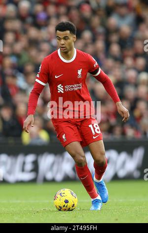 Liverpool, Großbritannien. Oktober 2023. Cody Gakpo aus Liverpool in Aktion. Spiel der Premier League, Liverpool gegen Nottingham Forest in Anfield in Liverpool am Sonntag, den 29. Oktober 2023. Dieses Bild darf nur für redaktionelle Zwecke verwendet werden. Nur redaktionelle Verwendung, Bild von Chris Stading/Andrew Orchard Sportfotografie/Alamy Live News Credit: Andrew Orchard Sportfotografie/Alamy Live News Stockfoto