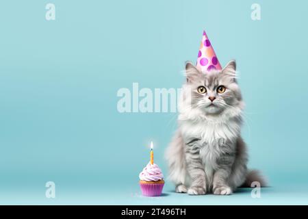 Flauschige Katze feiert mit Partyhut und Geburtstagskuchen mit einer Geburtstagskerze Stockfoto