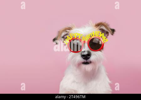 Süßer, dreckiger Hund, der auf einer Geburtstagsfeier eine Geburtstagsbrille trägt Stockfoto