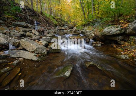 Big Hunting Creek in den Catoctin Mountains umgeben von den Herbstfarben der Bäume im Herbst. Stockfoto