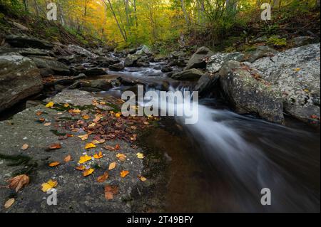 Big Hunting Creek in den Catoctin Mountains umgeben von den Herbstfarben der Bäume im Herbst. Stockfoto