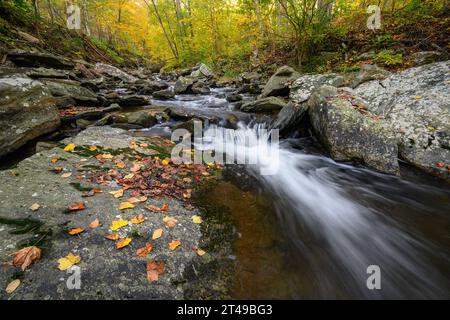 Big Hunting Creek in den Catoctin Mountains umgeben von den Herbstfarben der Bäume im Herbst. Stockfoto