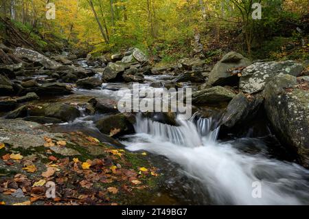 Big Hunting Creek in den Catoctin Mountains umgeben von den Herbstfarben der Bäume im Herbst. Stockfoto