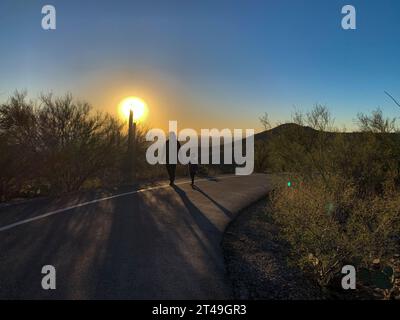 Tucson, Arizona, USA. Oktober 2023. Mit den Menschenmassen sind ein Wanderer und eine Tochter bei Sonnenaufgang erklimmen. Das Land ist heilig für einheimische indigene Stämme, die es vor mehr als 2000 Jahren besiedelten. Tumamoc ist Tohono O'Odham für die königliche Horneidechse, die Form des Berges. (Credit Image: © Sue Dorfman/ZUMA Press Wire) NUR REDAKTIONELLE VERWENDUNG! Nicht für kommerzielle ZWECKE! Stockfoto