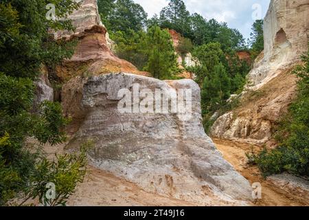 Canyon Bottom Trail im Providence Canyon State Park in Lumpkin, Goergia, südlich von Columbus. (USA) Stockfoto