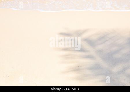 Hintergrund aus weißem Sand mit einem Schatten von einem Palmblatt am Meer am Ufer des Wassers. Stockfoto