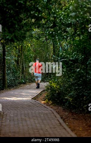 Ein Mann von hinten gesehen geht auf einem Pfad im Iguazu-Nationalpark, Argentinien Stockfoto