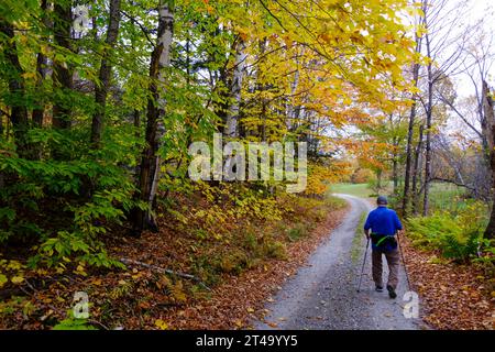 Eine ältere Person läuft entlang einer Landstraße in Vermont in der Nähe von farbenfrohen Herbstlaub mit Skistöcken, um mit ihnen zu spazieren. Stockfoto