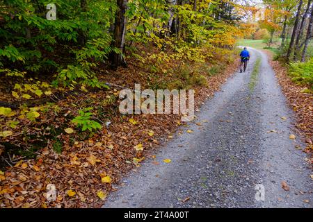 Eine ältere Person läuft entlang einer Landstraße in Vermont in der Nähe von farbenfrohen Herbstlaub mit Skistöcken, um mit ihnen zu spazieren. Stockfoto