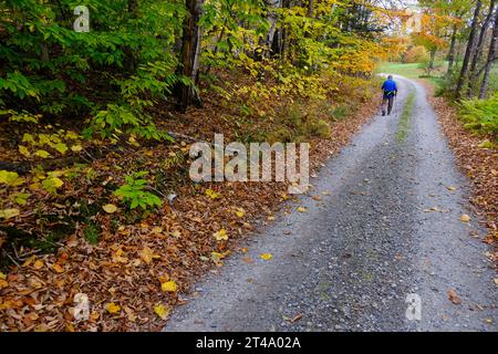 Eine ältere Person läuft entlang einer Landstraße in Vermont in der Nähe von farbenfrohen Herbstlaub mit Skistöcken, um mit ihnen zu spazieren. Stockfoto